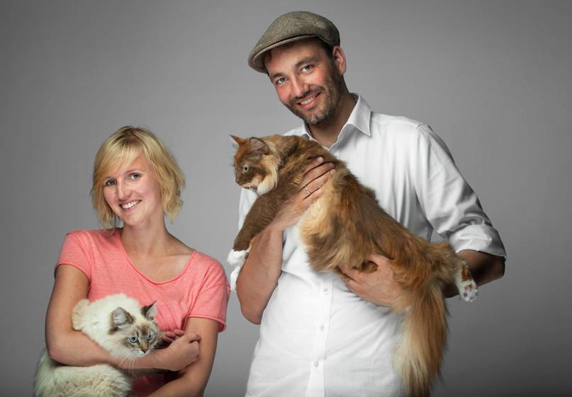 Titelbilder,images, Maine Coon Katze,cat, kat, poes, katt, felis