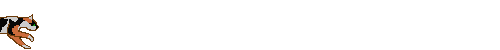 catcalico.gif (31159 Byte)